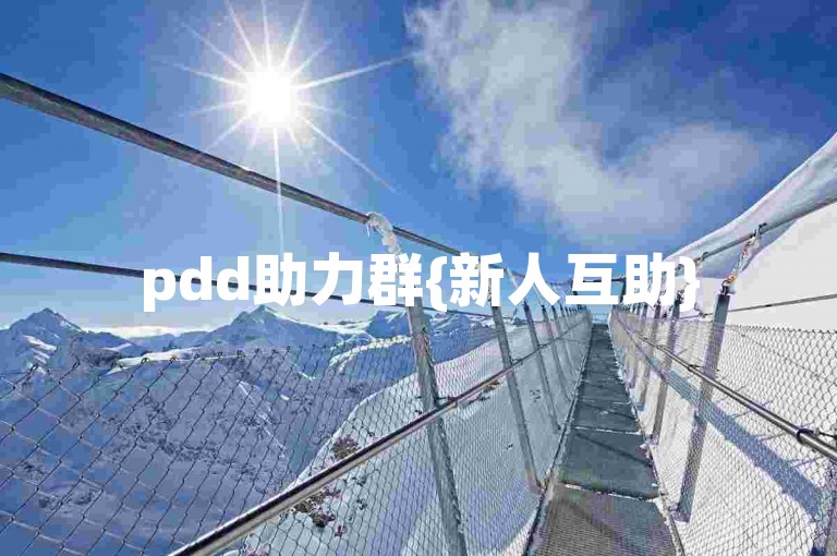 pdd助力群{新人互助}