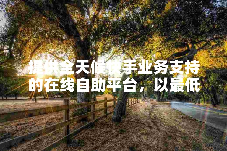 提供全天候快手业务支持的在线自助平台，以最低价格满足您的需求。