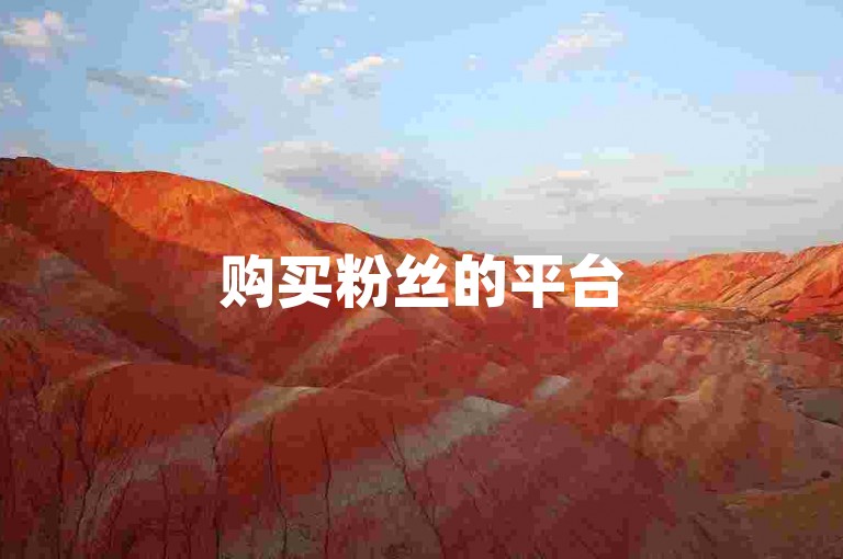 购买粉丝的平台5.0，以1000关注量起步，云小店提供全天候下单服务。