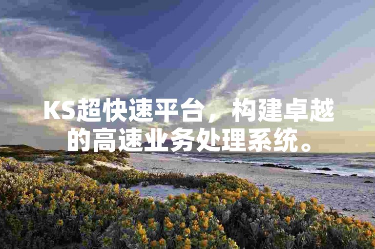 KS超快速平台，构建卓越的高速业务处理系统。