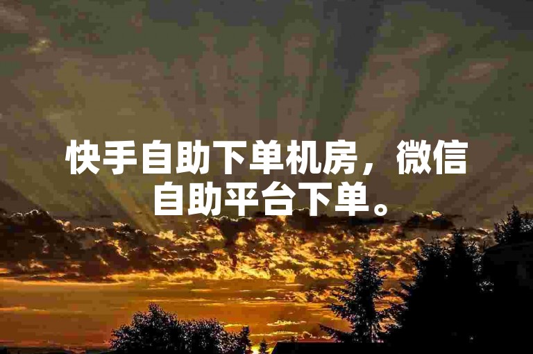 快手自助下单机房，微信自助平台下单。