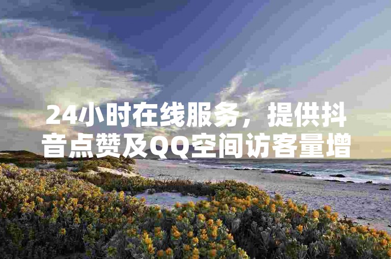 24小时在线服务，提供抖音点赞及QQ空间访客量增加。