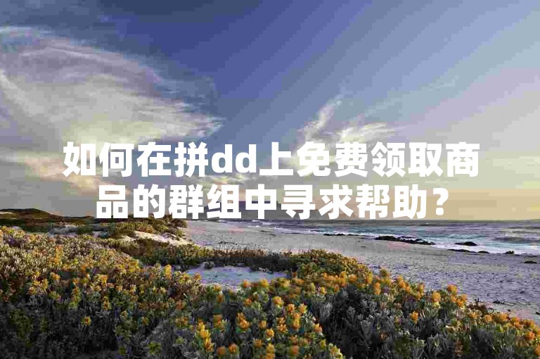 如何在拼dd上免费领取商品的群组中寻求帮助？