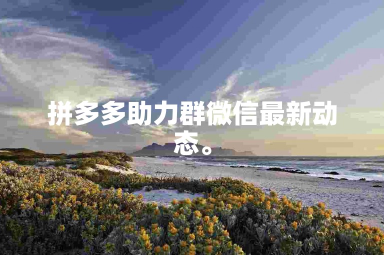拼多多助力群微信最新动态。