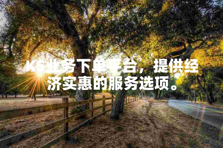 KS业务下单平台，提供经济实惠的服务选项。