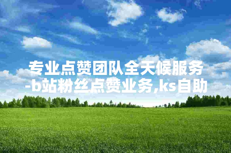 专业点赞团队全天候服务-b站粉丝点赞业务,ks自助下单平台