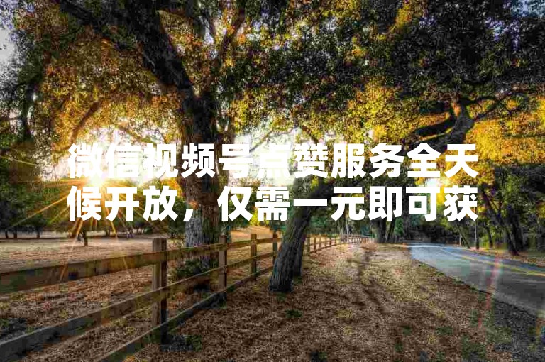 微信视频号点赞服务全天候开放，仅需一元即可获得200个赞。