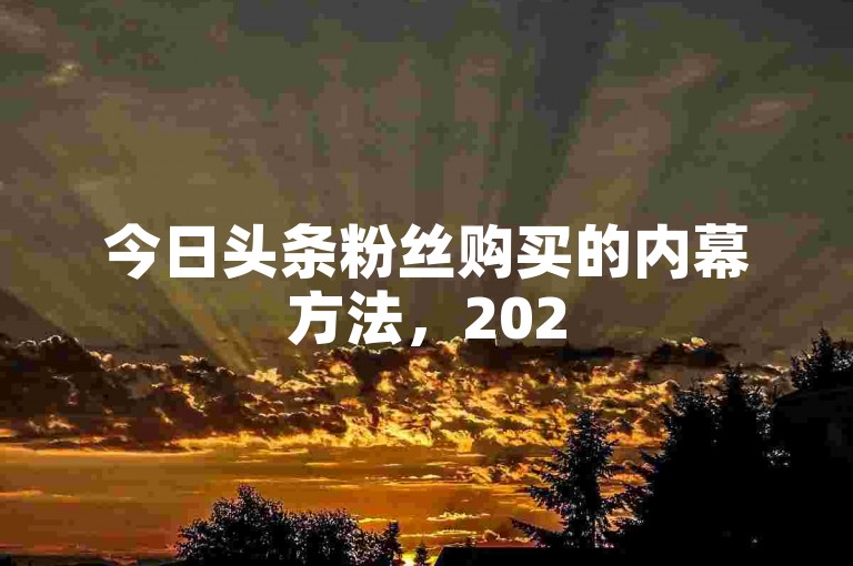 今日头条粉丝购买的内幕方法，2025年必须掌握的技巧！
