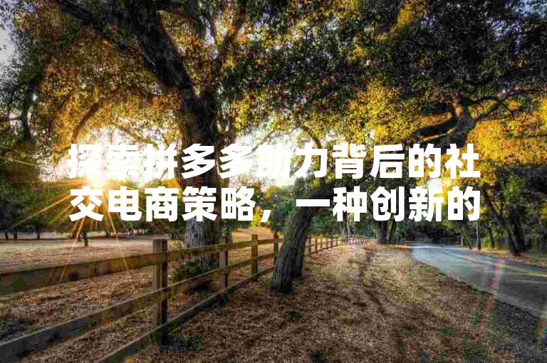 探索拼多多助力背后的社交电商策略，一种创新的用户增长魔法。