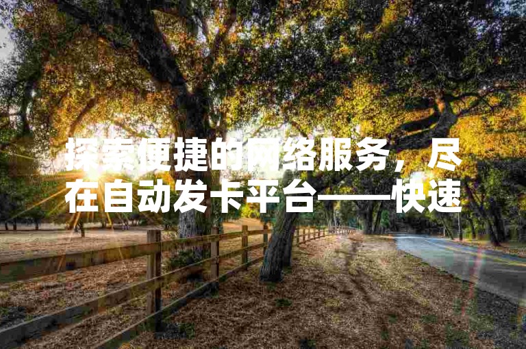探索便捷的网络服务，尽在自动发卡平台——快速、安全、自助式下单体验。