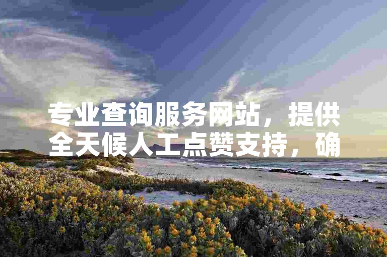 专业查询服务网站，提供全天候人工点赞支持，确保会员服务稳定可靠。