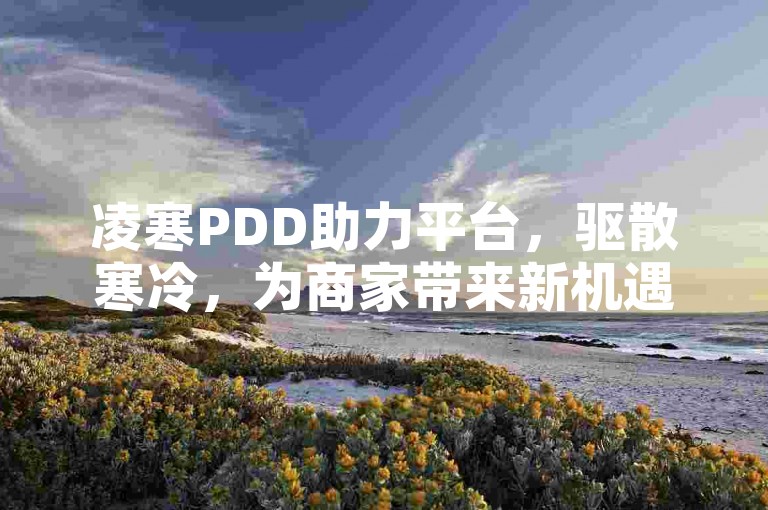 凌寒PDD助力平台，驱散寒冷，为商家带来新机遇。