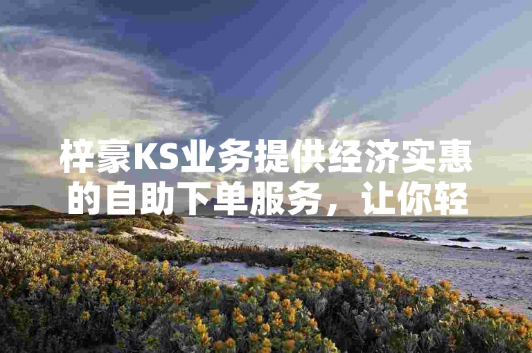 梓豪KS业务提供经济实惠的自助下单服务，让你轻松获得所需的网络资源。