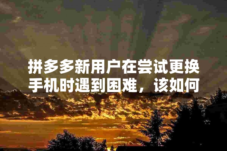 拼多多新用户在尝试更换手机时遇到困难，该如何操作呢？pdd帮助力