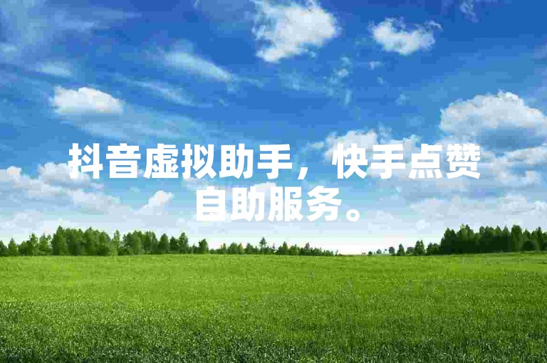 抖音虚拟助手，快手点赞自助服务。