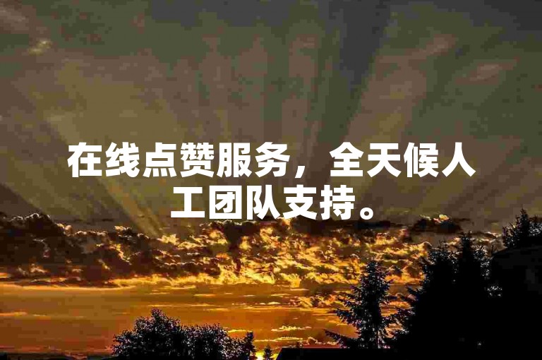 在线点赞服务，全天候人工团队支持。