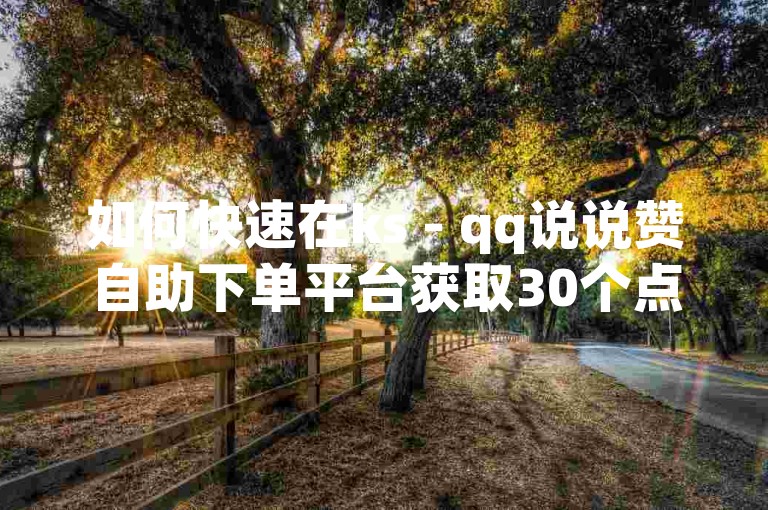 如何快速在ks - qq说说赞自助下单平台获取30个点赞。