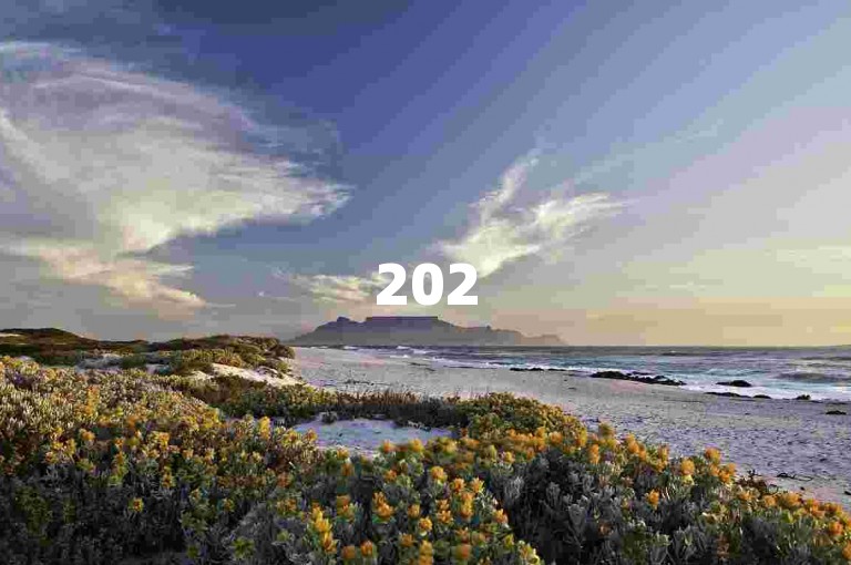 2025年，拼多多将推出1元砍价活动，参与者需完成10次助力以获取优惠，借助{pdd助力软件}可更高效地完成任务。