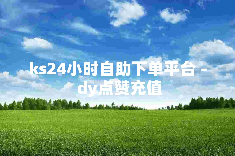 ks24小时自助下单平台 - dy点赞充值
