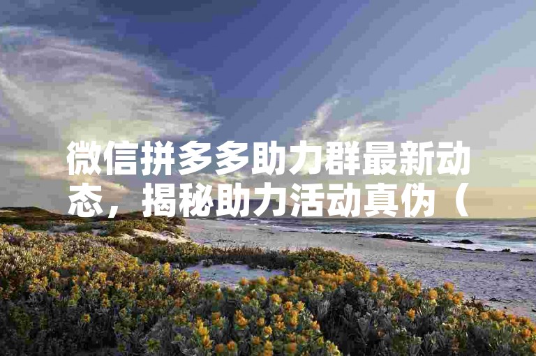 微信拼多多助力群最新动态，揭秘助力活动真伪（2024更新）。
