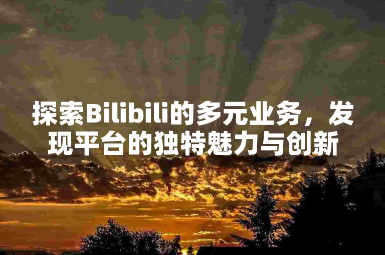 探索Bilibili的多元业务，发现平台的独特魅力与创新服务。