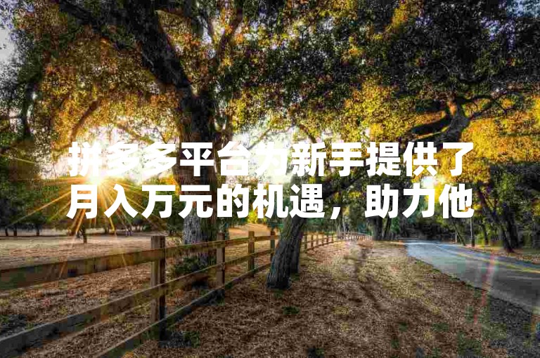 拼多多平台为新手提供了月入万元的机遇，助力他们轻松获得兼职收入。