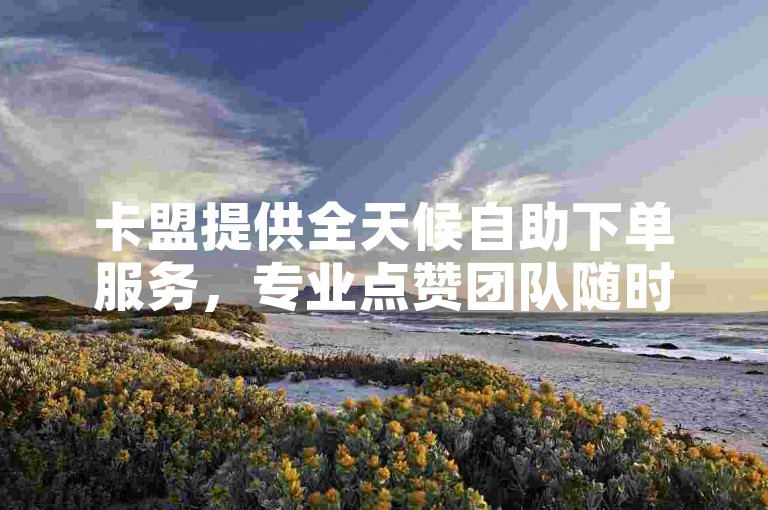 卡盟提供全天候自助下单服务，专业点赞团队随时待命，确保您的订单在24小时内得到快速处理。