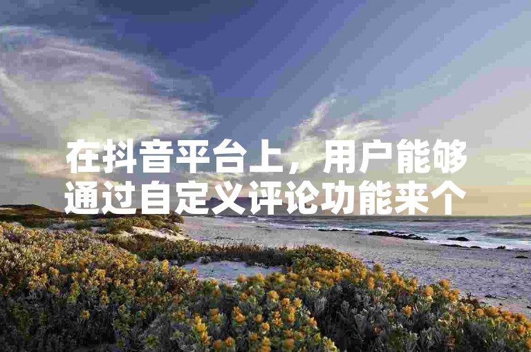 在抖音平台上，用户能够通过自定义评论功能来个性化自己的互动体验。