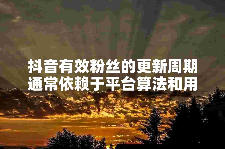 抖音有效粉丝的更新周期通常依赖于平台算法和用户互动情况，而关于更新频率的建议则因账户活跃度和内容质量的不同而有所差异。