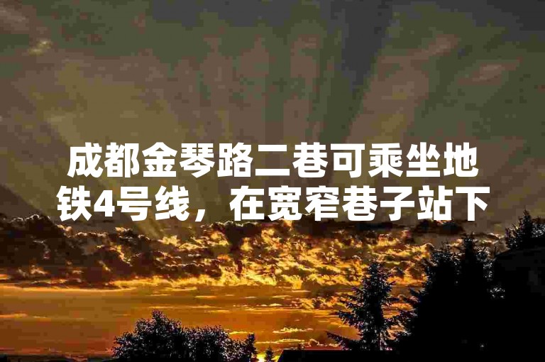 成都金琴路二巷可乘坐地铁4号线，在宽窄巷子站下车后步行前往；若需自助下单24小时平台，可选择相关电商平台或外卖平台的线上服务。
