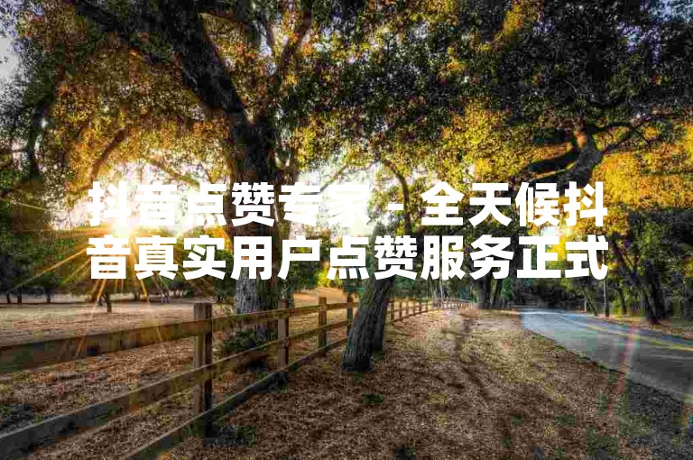 抖音点赞专家 - 全天候抖音真实用户点赞服务正式开启