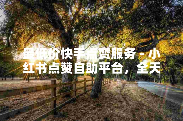 最低价快手点赞服务 - 小红书点赞自助平台，全天候快速响应。