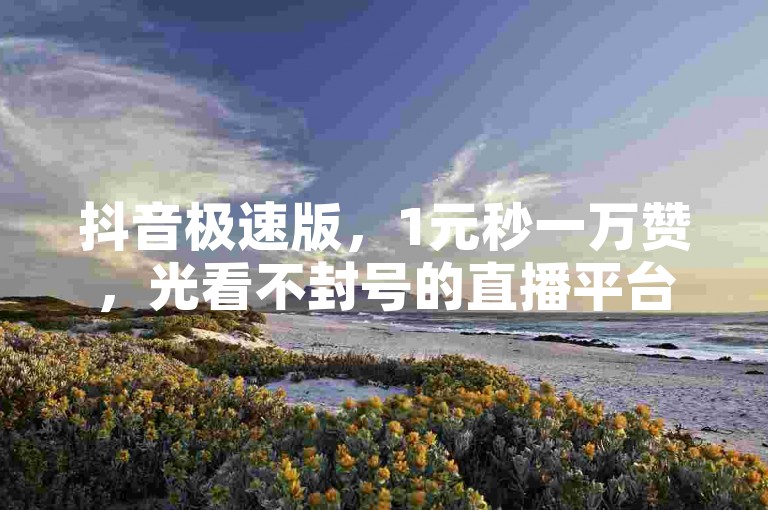 抖音极速版，1元秒一万赞，光看不封号的直播平台 - 哔哩哔哩官网 - 快手充值中心官网。