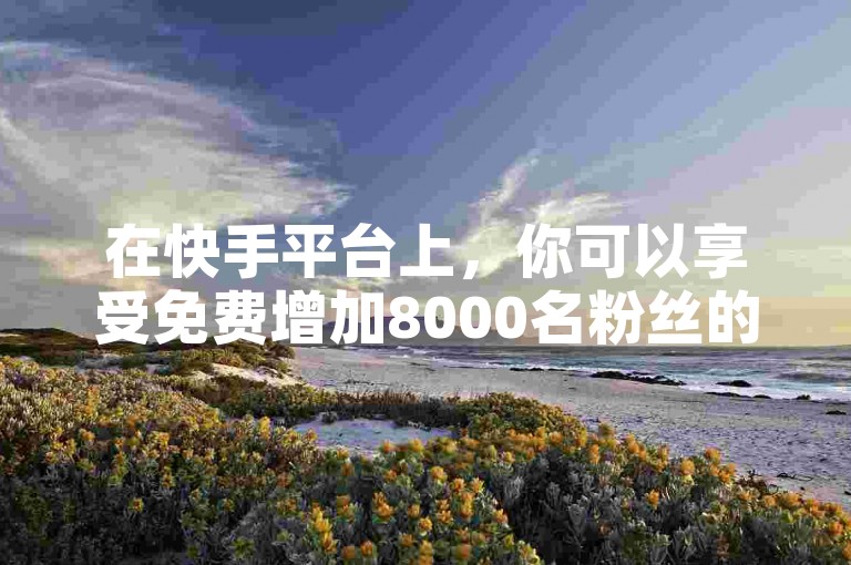 在快手平台上，你可以享受免费增加8000名粉丝的服务，或者只需支付1元就能迅速获得1000个新粉丝。