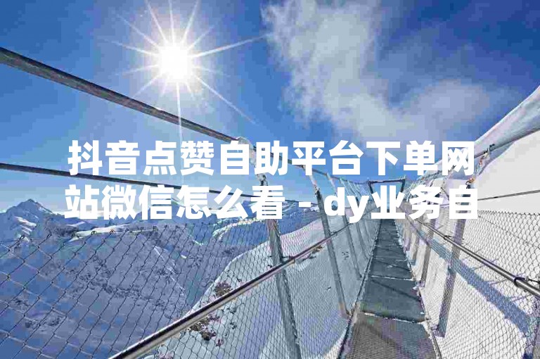 抖音点赞自助平台下单网站微信怎么看 - dy业务自助下单平台业务网