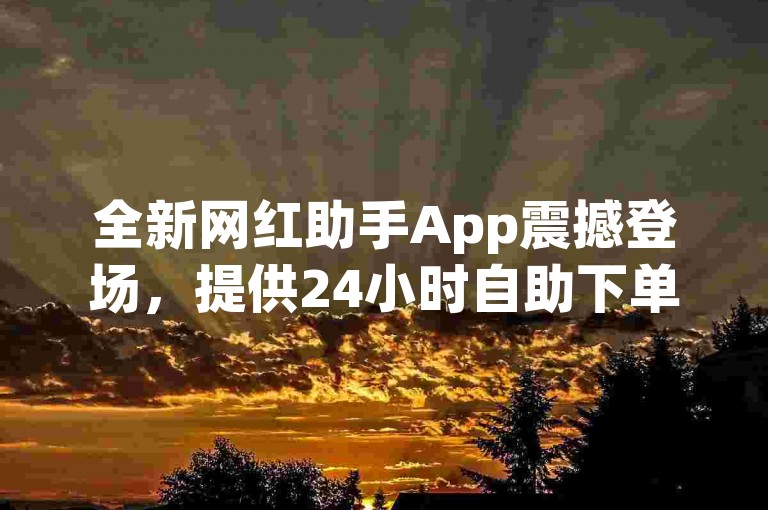 全新网红助手App震撼登场，提供24小时自助下单服务，有赞商城与kscall合作，让网红业务管理更加便捷高效！