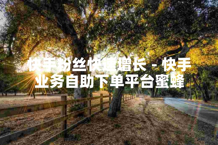 快手粉丝快速增长 - 快手业务自助下单平台蜜蜂