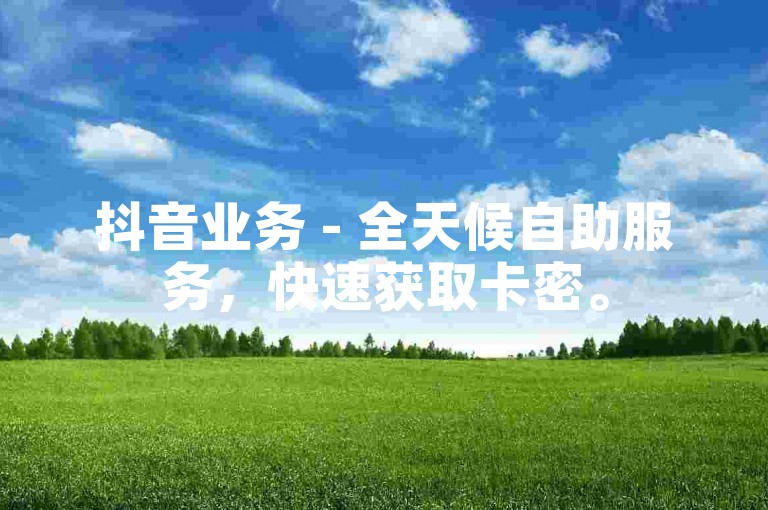 抖音业务 - 全天候自助服务，快速获取卡密。