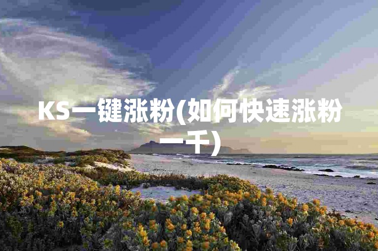 KS一键涨粉(如何快速涨粉一千)