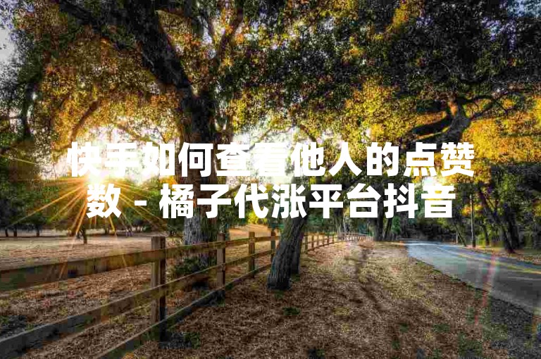 快手如何查看他人的点赞数 - 橘子代涨平台抖音