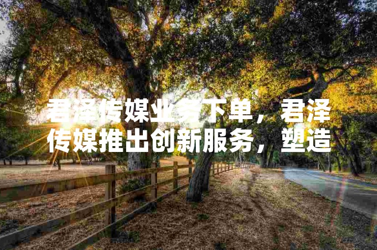 君泽传媒业务下单，君泽传媒推出创新服务，塑造行业新标准。