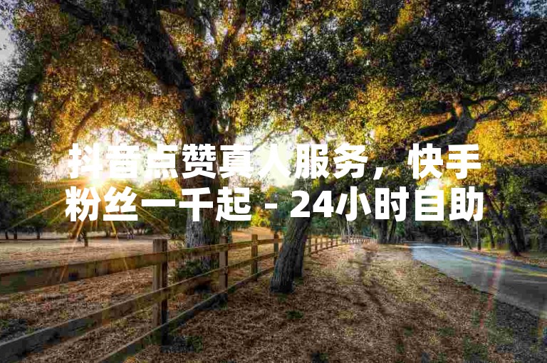 抖音点赞真人服务，快手粉丝一千起 - 24小时自助服务平台 - QQ昵称点赞购买入口在哪？
