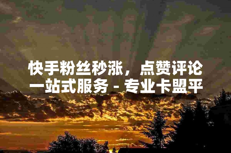 快手粉丝秒涨，点赞评论一站式服务 - 专业卡盟平台 - 微信在线下单快速通道