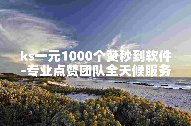 ks一元1000个赞秒到软件-专业点赞团队全天候服务