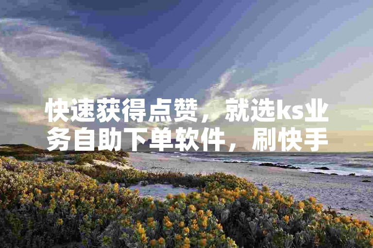 快速获得点赞，就选ks业务自助下单软件，刷快手亲密度，价格最低。