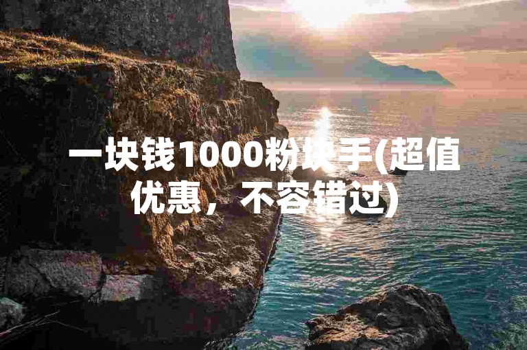 一块钱1000粉块手(超值优惠，不容错过)