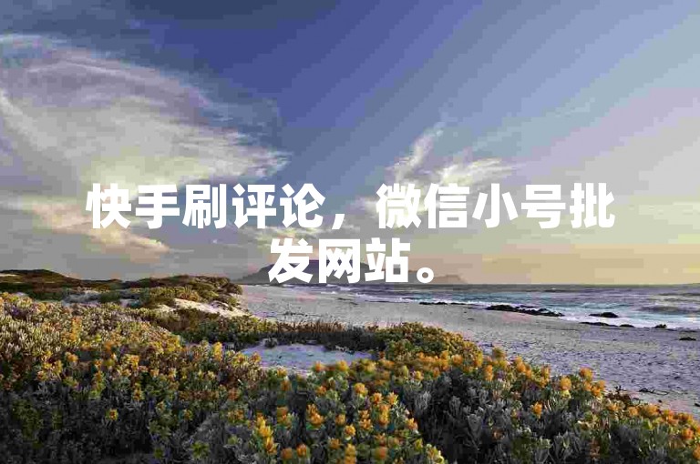 快手刷评论，微信小号批发网站。