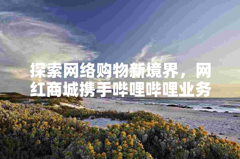 探索网络购物新境界，网红商城携手哔哩哔哩业务自助平台，提供PDD助力服务，让你以1元换取1000惊喜，开启超值购物体验。
