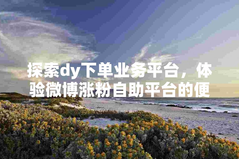 探索dy下单业务平台，体验微博涨粉自助平台的便捷与高效。