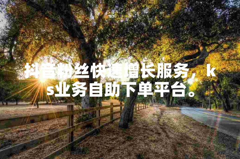 抖音粉丝快速增长服务，ks业务自助下单平台。